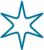 Star icon