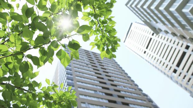 Green buildings